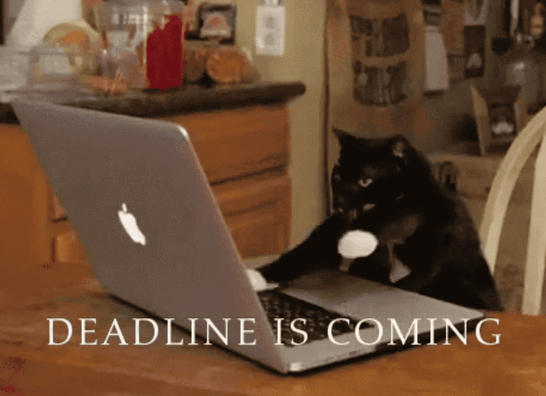 deadline-funny-giphy