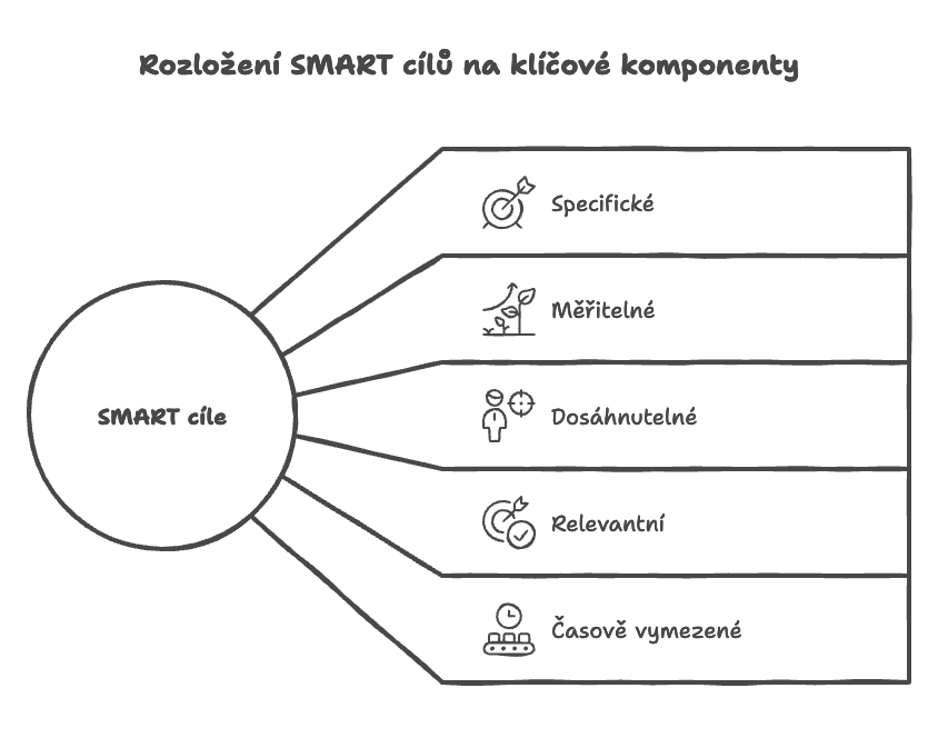 SMART cile rizeni firmy